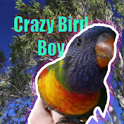 Crazy Bird Boy