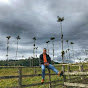 sergioandresrinconcaupaz2001
