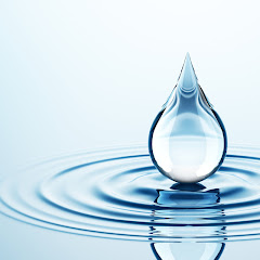 Fluid