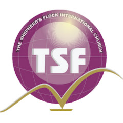 TSFCHURCH International net worth