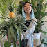 E7r8bKE4oXI-channel-avatar-reallybigplant