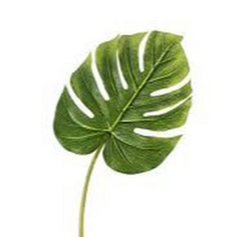 Bebee Plants icon