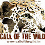 Call of The Wild logo