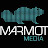 MARMOT media