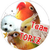 Team TORIZ
