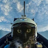 Автор