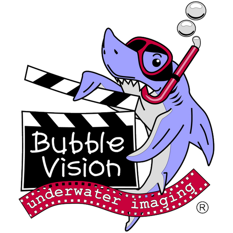 Bubble Vision icon