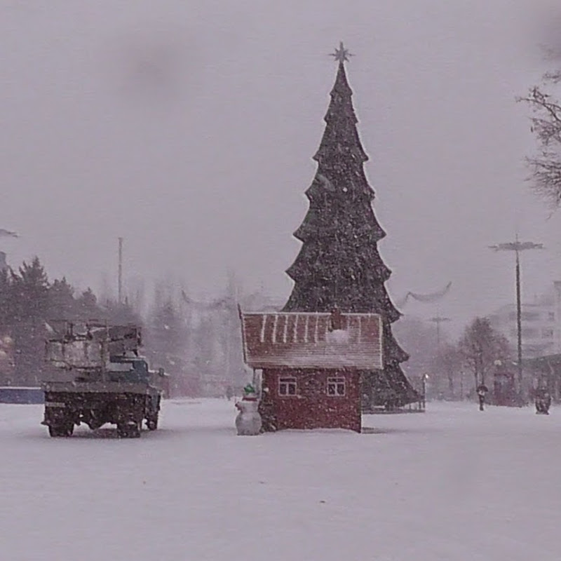 Вася Вино Logo