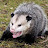 @justtrash5353's avatar