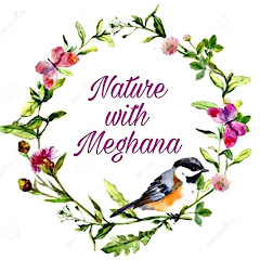 Nature With Meghana