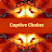 @captivechains9033