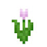 vH9GHxCOtWQ-channel-avatar-Pink Tulip