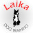 Laika Dog Training
