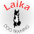 Laika Dog Training