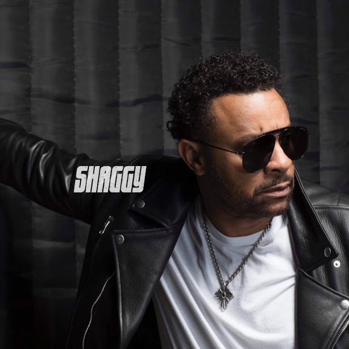 shaggymedia Net Worth & Earnings (2026)