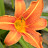 YouTube profile photo of @cristalmoore67