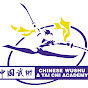 Chinese Wushu & Tai Chi Academy