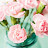 @hyoge32