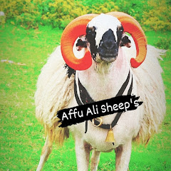 Affu Ali Sheep's net worth