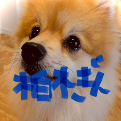 柏木ぎん