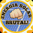 Energia Solar Brutal