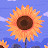 @gypsy-sun