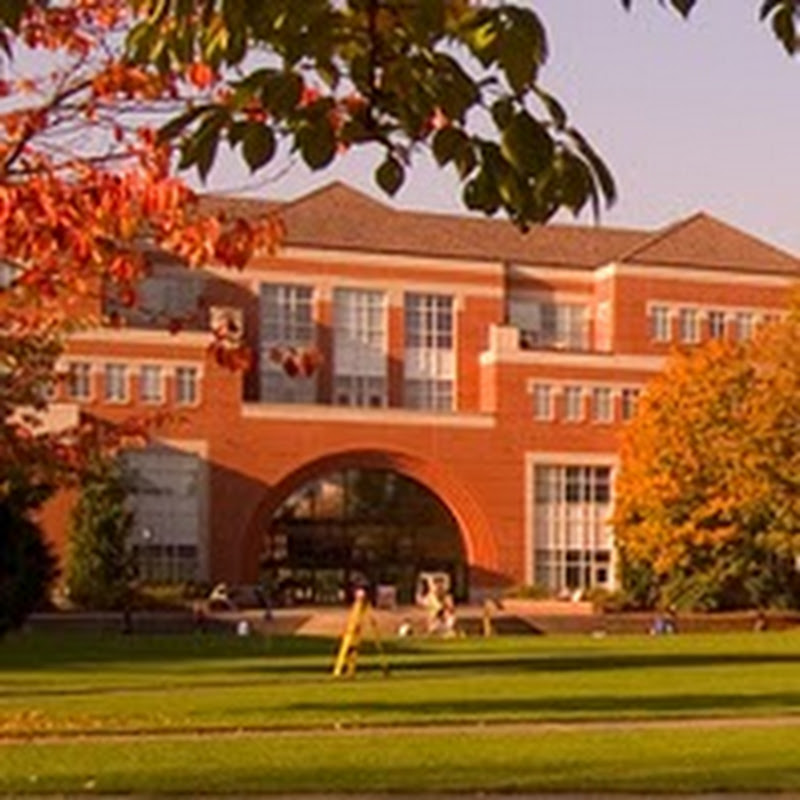 School of Education UP