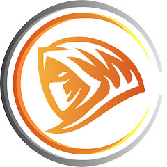 Assass1N channel logo