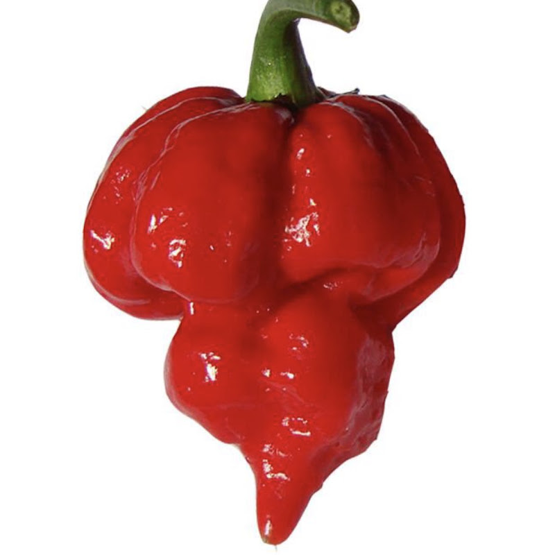 Spicy Peppers