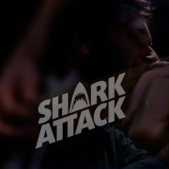 Shark Attack Rock - Official Channel