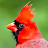 @billjobes1851's avatar