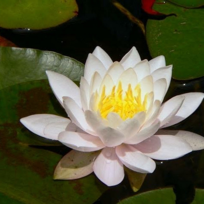 Holistic Workshop