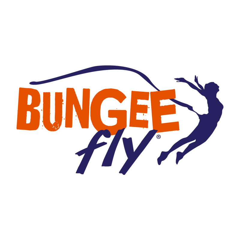 Bungee Fly