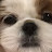 @user-qx6ry3mi9s