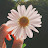 @아기펭귄-n6q