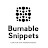 Burnable Snippets