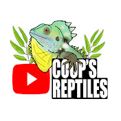 Coops Reptiles