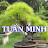 Bonsai Tuấn Minh