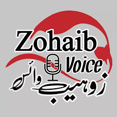 Zohaib Voice net worth