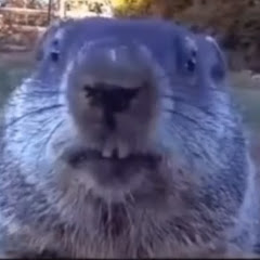 けいすけ