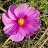 @user-sc7so3oo5j