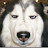 Photo of @arucardhelsing6551