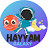 Hayyam Galaxy