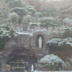 채널썸네일
