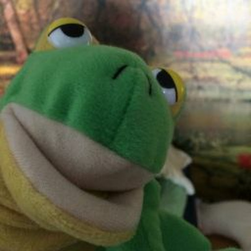 froggy the gamerfrog