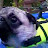 @theunz's avatar