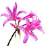 EsGZd6l0eyY-channel-avatar-DIY Home and Gardening