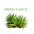 JLddF-BGN80-channel-avatar-Green plants