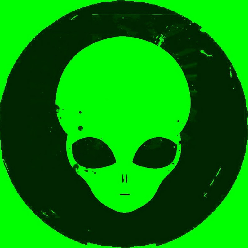 Area51Motorsports