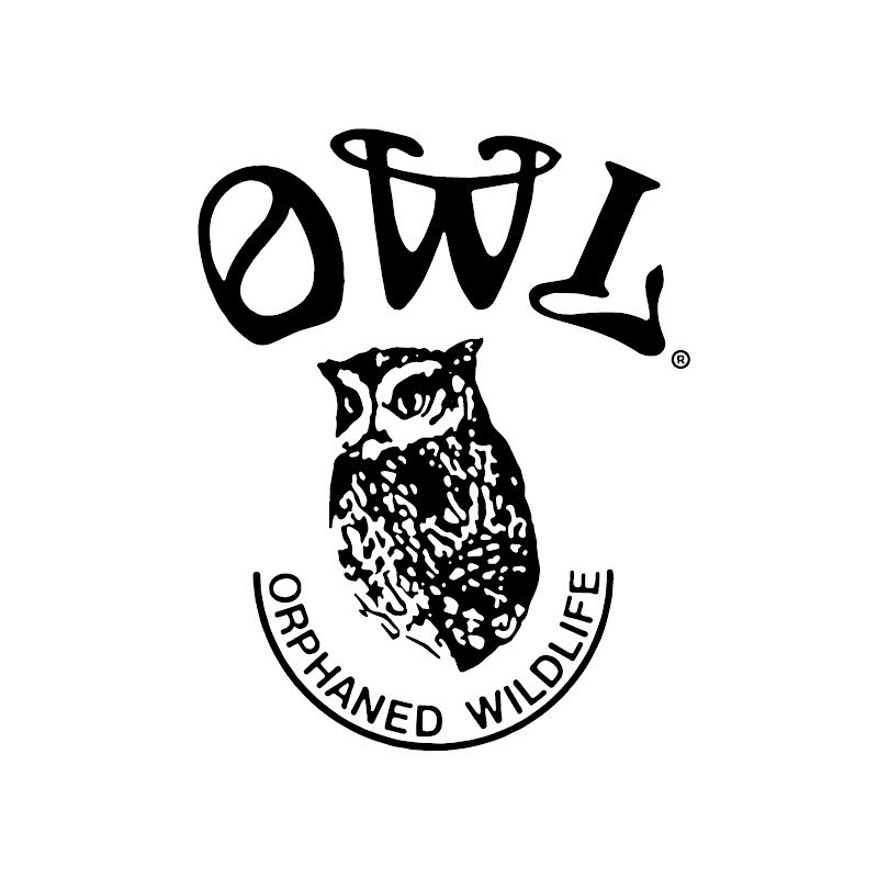 OWL Rehab avatar